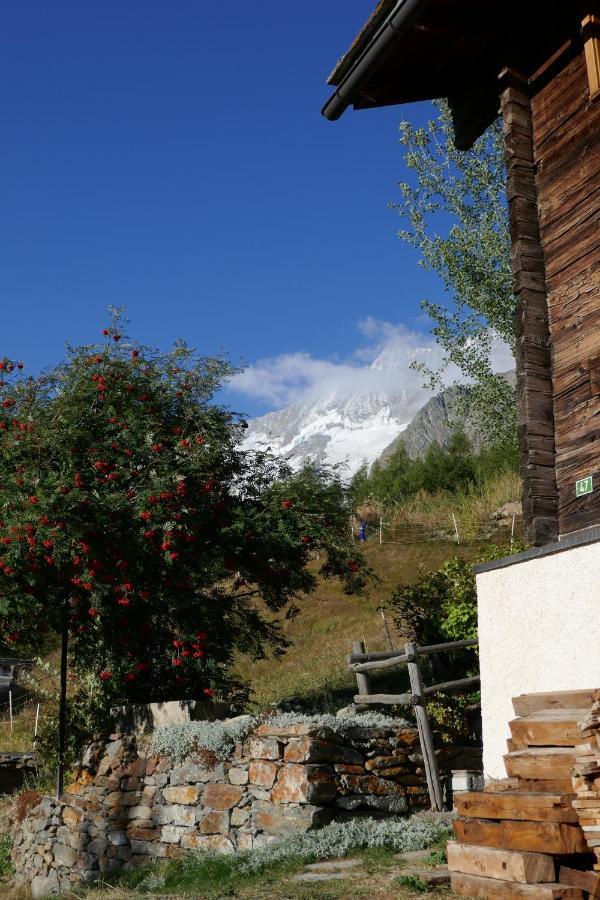 Châlet Birkhahn Saas-Fee Ngoại thất bức ảnh