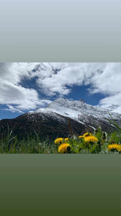 Châlet Birkhahn Saas-Fee Ngoại thất bức ảnh