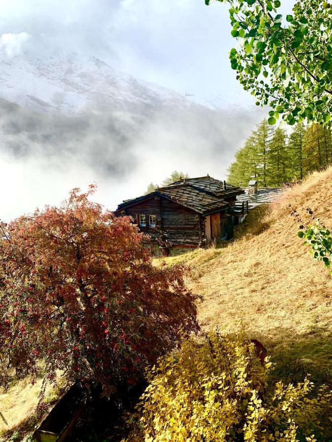 Châlet Birkhahn Saas-Fee Ngoại thất bức ảnh