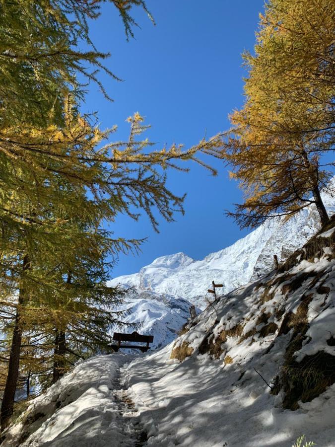 Châlet Birkhahn Saas-Fee Ngoại thất bức ảnh