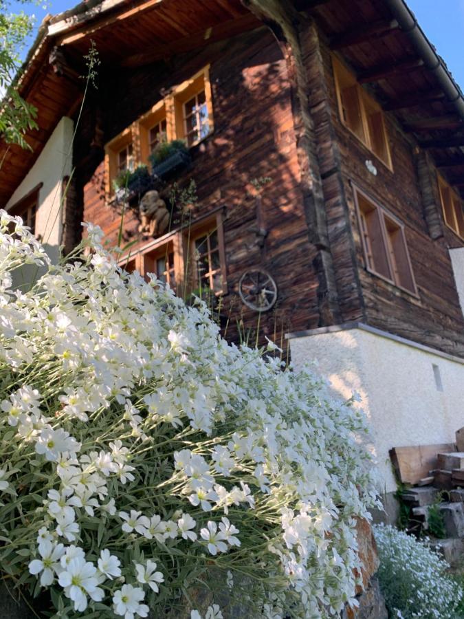 Châlet Birkhahn Saas-Fee Ngoại thất bức ảnh