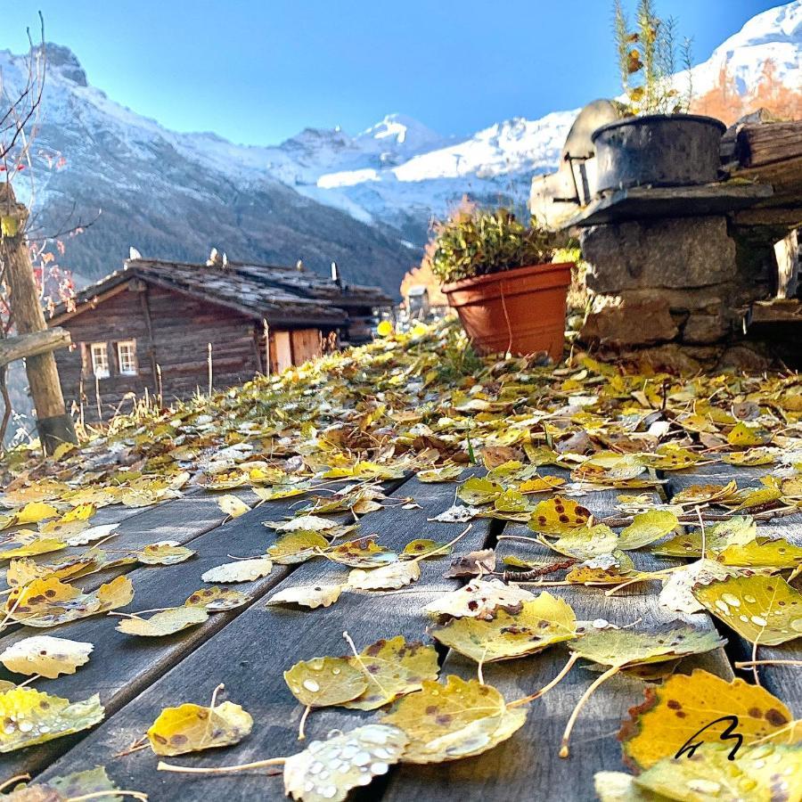 Châlet Birkhahn Saas-Fee Ngoại thất bức ảnh